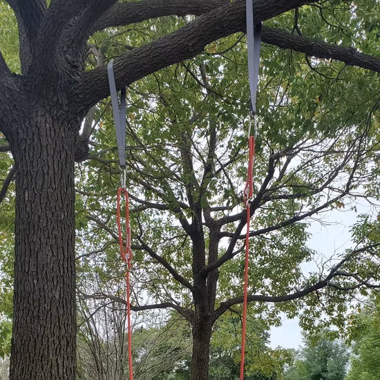Soporte de peso de PE Columpio para niños de 120 kg para interior y exterior